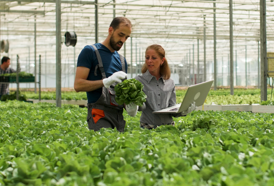 Événement sociétaires les conviviales d'automne 2025 qui ont lieu en agence le samedi 15 novembre de 9h à 12h30